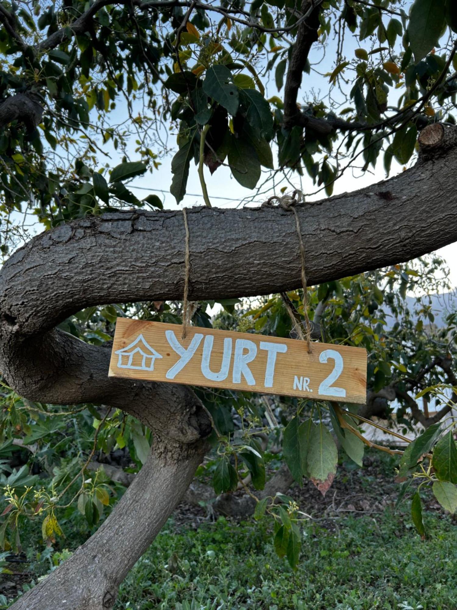 Hotel Yurt In Avocado Garden Güimar Exteriér fotografie